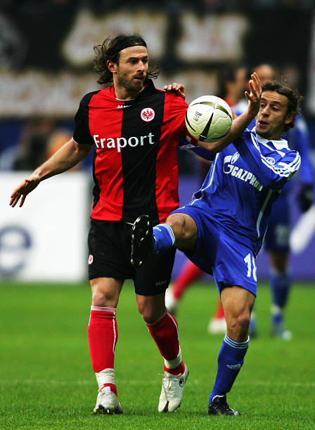 法国乒乓球 法国乒乓球